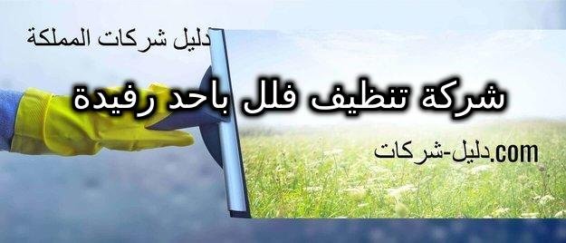 شركة تنظيف فلل باحد رفيدة
