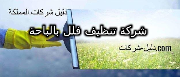 شركة تنظيف فلل بالباحة