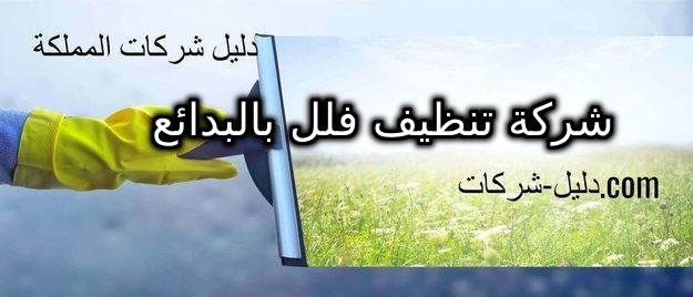 شركة تنظيف فلل بالبدائع
