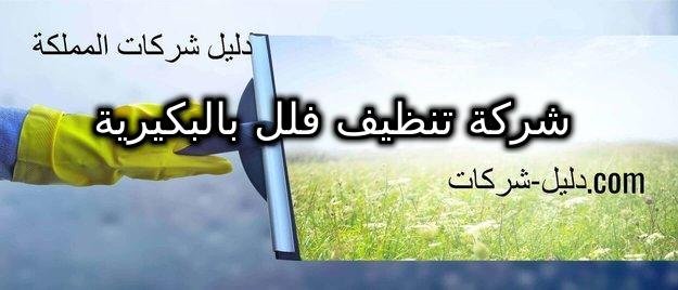 شركة تنظيف فلل بالبكيرية