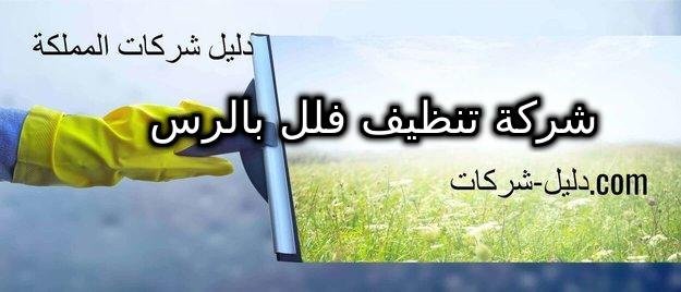 شركة تنظيف فلل بالرس