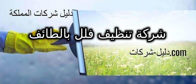 شركة تنظيف فلل بالطائف