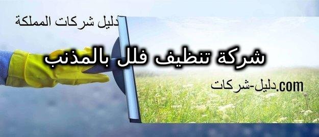 شركة تنظيف فلل بالمذنب