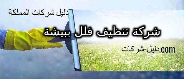 شركة تنظيف فلل ببيشة