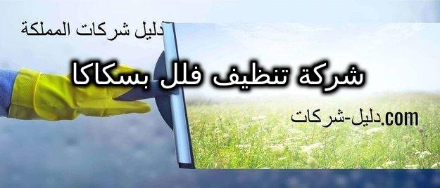 شركة تنظيف فلل بسكاكا