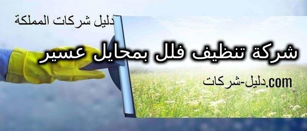شركة تنظيف فلل بمحايل عسير