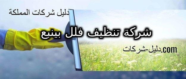 شركة تنظيف فلل بينبع
