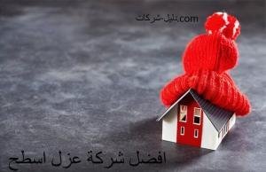 شركة عزل اسطح بالرياض لخدمة المنازل والفلل
