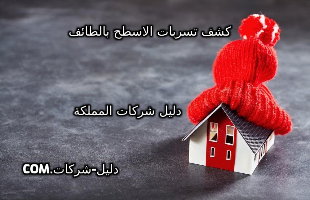 كشف تسربات الأسطح بالطائف