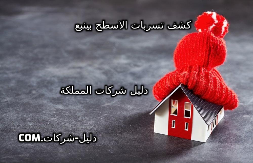 كشف تسربات الاسطح بينبع